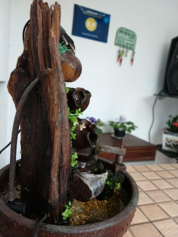 Hospedaria Gaucha 佩尼亚 外观 照片